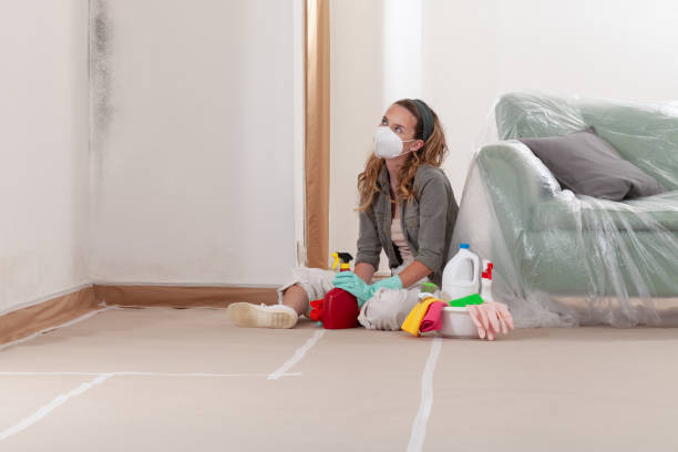 Reliable Mold Remediation contractor in Fruitport, MI by Mold Remediation HQ